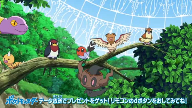 Pocket Monsters (2019) Episódio 37: Estou de volta, e prazer em