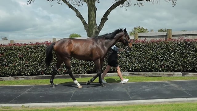 Lot 62