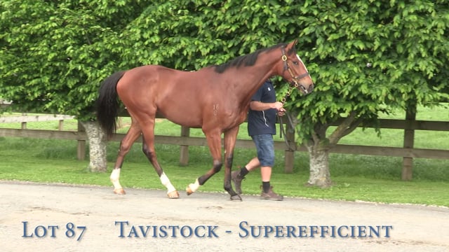 Lot 87