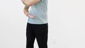 Pushing Palms (18 Movements)