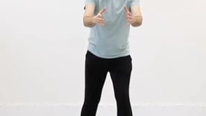 Flying Pigeon (18 Movements)