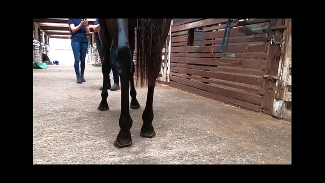 Lot 44
