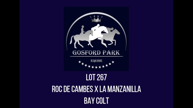 Lot 267