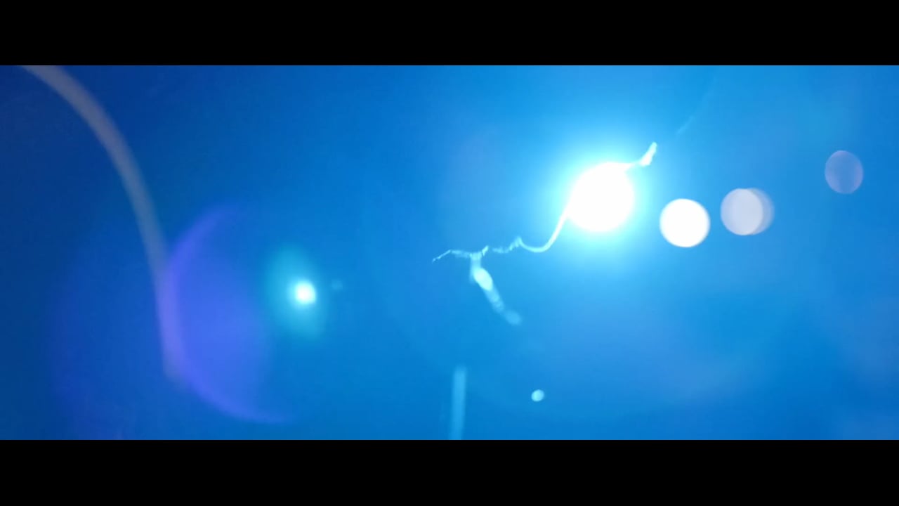 Lumières sous les pontons / Aqua Sapiens / Océanopolis