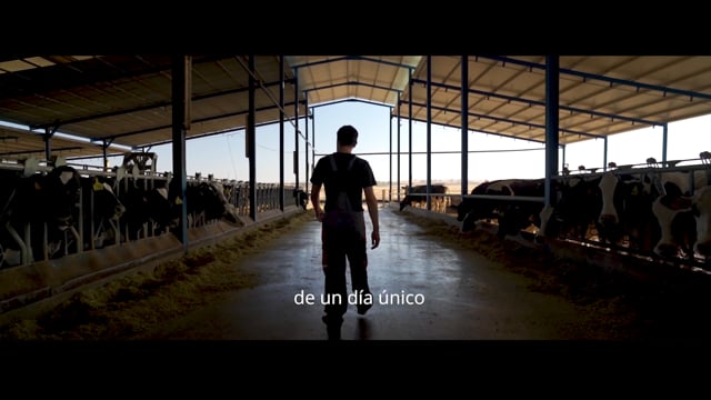 Usías Holsteins: más que un concurso, un estilo de vida