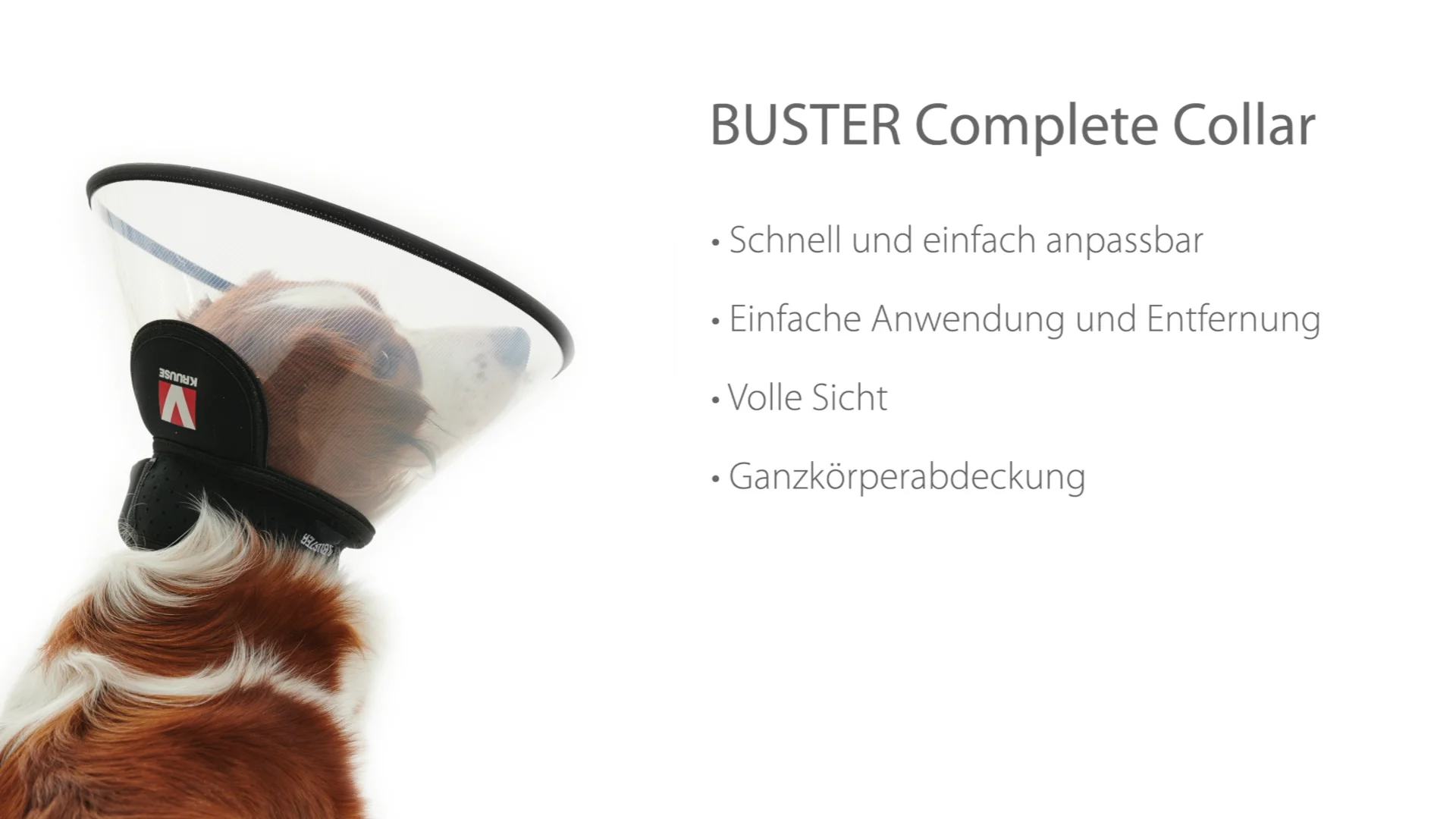 Video to web & download BUSTER Complete Collar GER on Vimeo