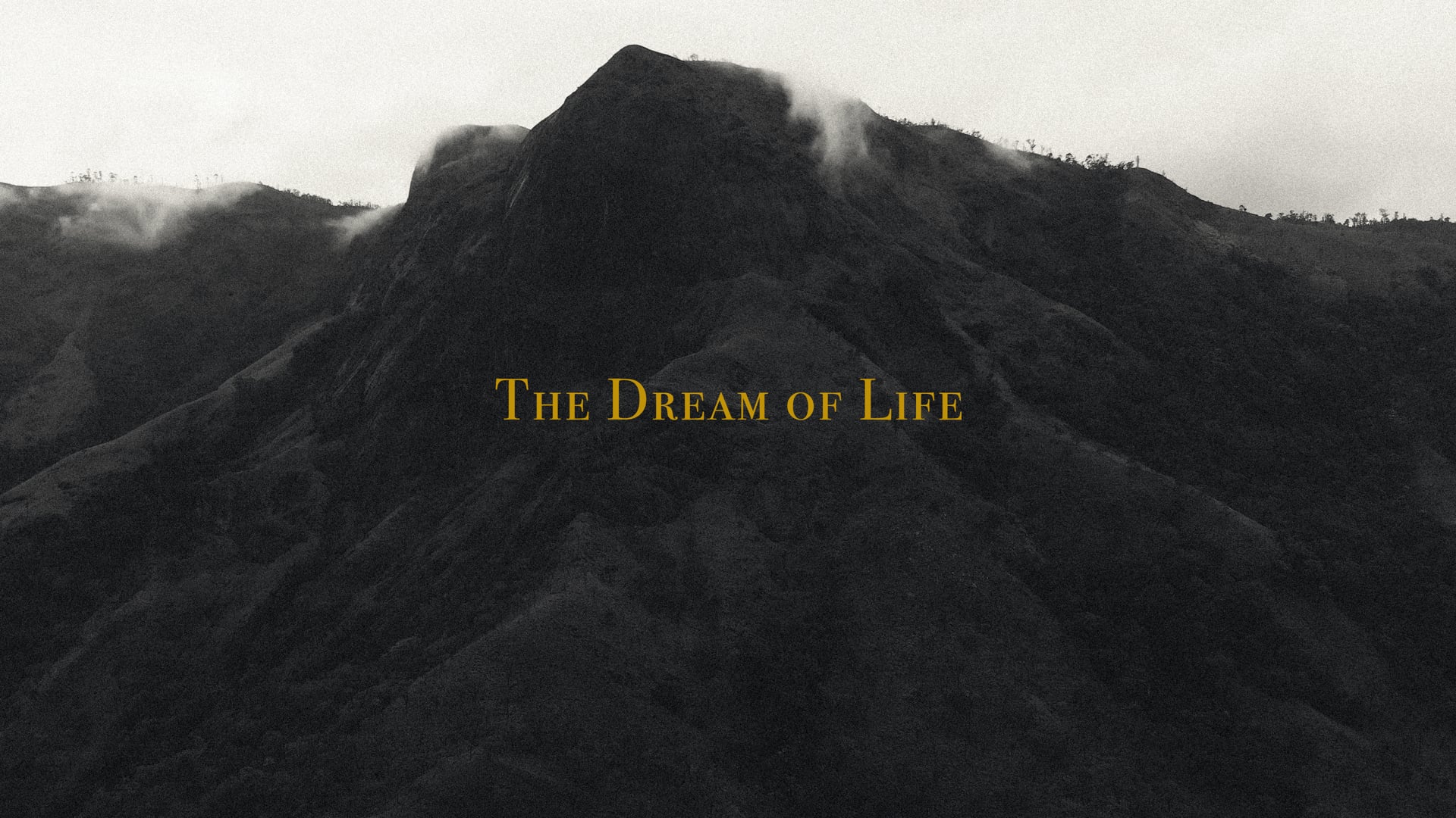 The Dream of Life