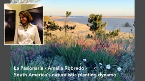 La Pasionaria - Amalia Robredo - South America's naturalistic planting dynamo