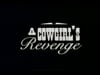 Cowgirl’s Revenge, A