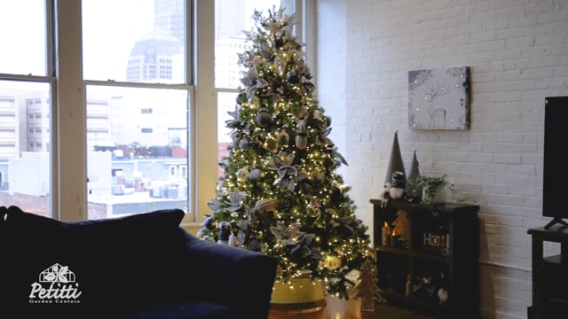 Petitti Holiday Experience 2020