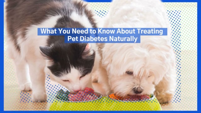 can you treat diabetes in dogs naturally