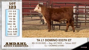 Lot #123 - TA L1 DOMINO 0337H ET