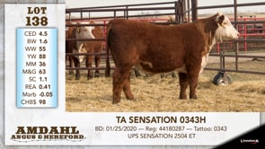 Lot #138 - TA SENSATION 0343H