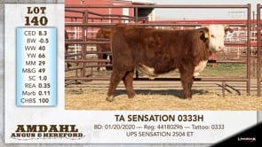 Lot #140 - TA SENSATION 0333H