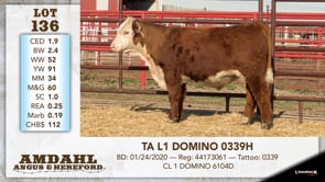 Lot #136 - TA L1 DOMINO 0339H