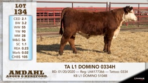 Lot #134 - TA L1 DOMINO 0334H