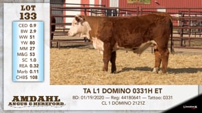 Lot #133 - TA L1 DOMINO 0331H ET