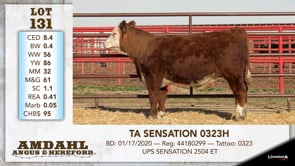Lot #131 - TA SENSATION 0323H