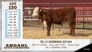 Lot #130 - TA L1 DOMINO 0316H