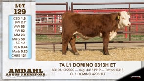 Lot #129 - TA L1 DOMINO 0313H ET