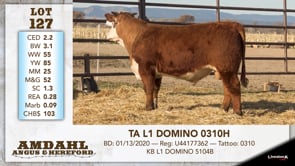 Lot #127 - TA L1 DOMINO 0310H