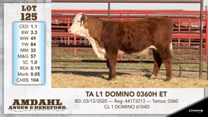 Lot #125 - TA L1 DOMINO 0360H ET