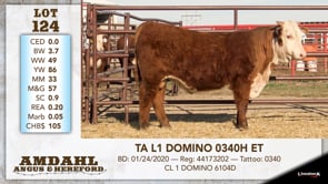 Lot #124 - TA L1 DOMINO 0340H ET