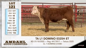 Lot #121 - TA L1 DOMINO 0325H ET