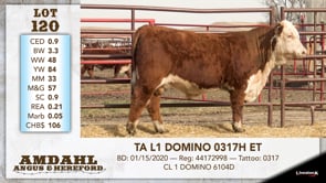 Lot #120 - TA L1 DOMINO 0317H ET