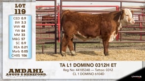 Lot #119 - TA L1 DOMINO 0312H ET