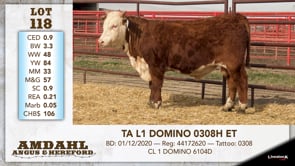Lot #118 - TA L1 DOMINO 0308H ET