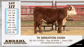 Lot #117 - TA SENSATION 0320H