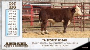 Lot #116 - TA TESTED 0314H