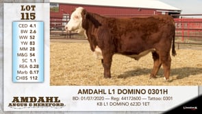 Lot #115 - AMDAHL L1 DOMINO 0301H