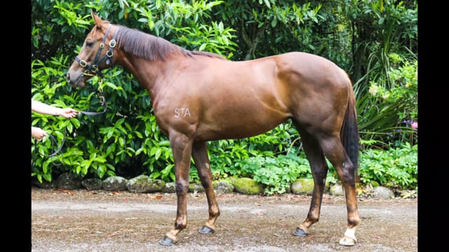 Lot 116