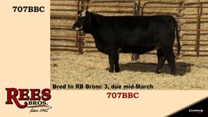 Lot #707BBC - 707BBC