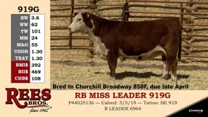 Lot #919G - RB MISS LEADER 919G