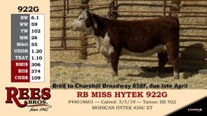Lot #922G - RB MISS HYTEK 922G