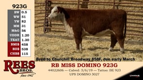 Lot #923G - RB MISS DOMINO 923G