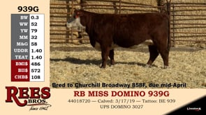 Lot #939G - RB MISS DOMINO 939G