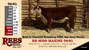 Lot #964G - RB MISS MAXINE 964G