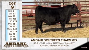 Lot #9 - AMDAHL SOUTHERN CHARM 077