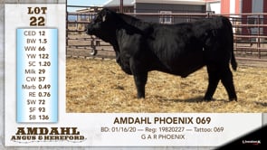Lot #22 - AMDAHL PHOENIX 069