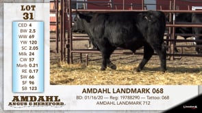 Lot #31 - AMDAHL LANDMARK 068