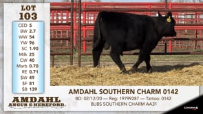 Lot #103 - AMDAHL SOUTHERN CHARM 0142