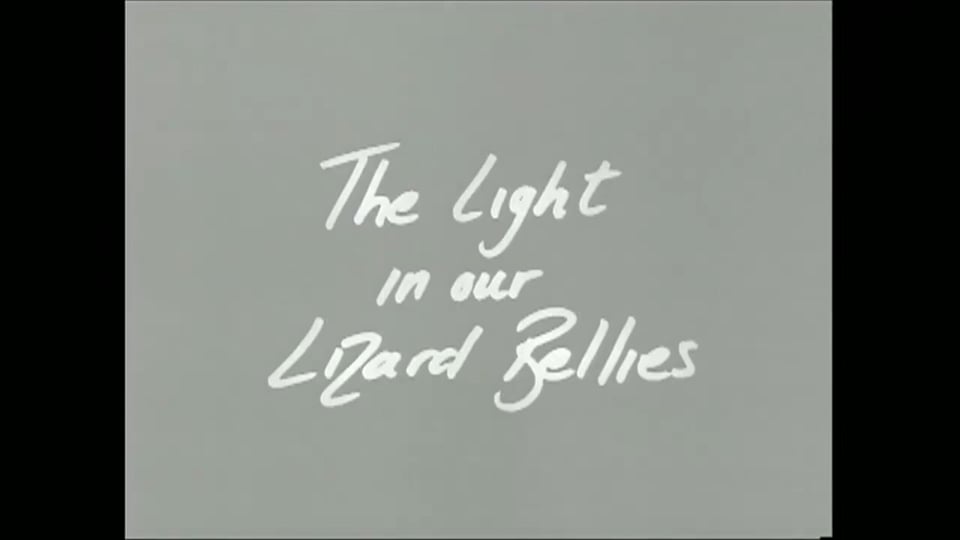 Light in Our Lizard Bellies, The