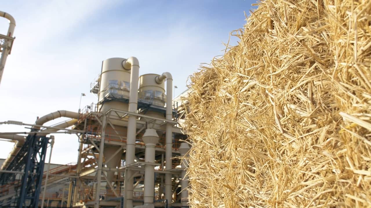 Introducing The World's First Rice Straw MDF on Vimeo