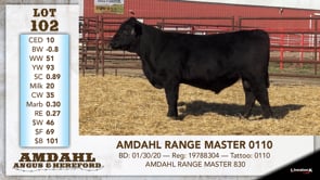 Lot #102 - AMDAHL RANGE MASTER 0110