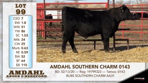 Lot #99 - AMDAHL SOUTHERN CHARM 0143