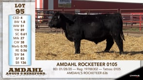 Lot #95 - AMDAHL ROCKETEER 0105